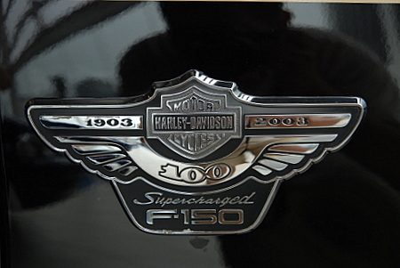 Harley Davidson badge on the leather seats